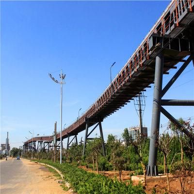 Long Life Steel Belt Roller Conveyor Price Manufacturer for Mining/Port/Power Plant Industries