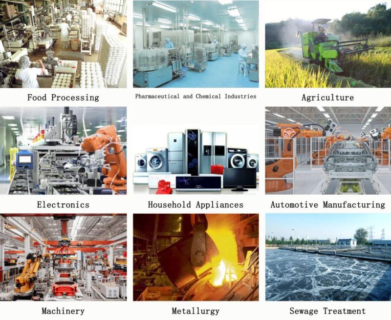 Mesh Conveyor Manufacturer Food Grade Chain Link Wire Mesh Stainless Steel Flat Flex Conveyor Belt