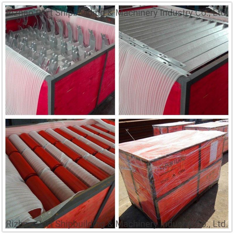 Cema Water Proof and Dust Proof Conveyor Roller with Best Quality