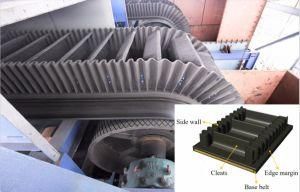 Sidewall Conveyor Belting for Mining Coal Cement Port Power Casting Metallurgy