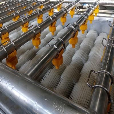 Factory Price Stainless Steel Food Washing Conveyor of Oil Resistant/Heat Resistant/Fire Resistant