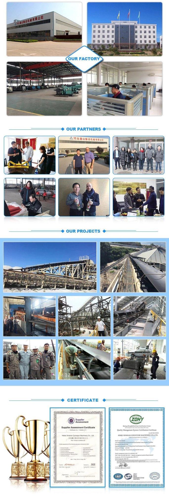 China Products Plastic New Design Conveyor Belt