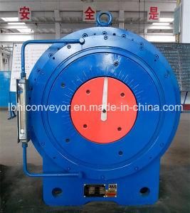 Contact-Type Safety Torque-Limited Backstop for Belt Conveyor (NJZ710)