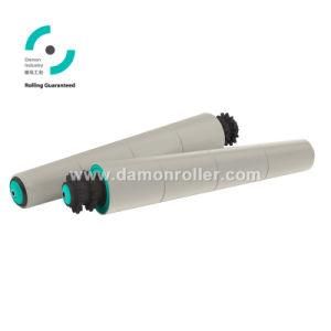 Zhejiang Polymer Sprocket Tapered Sleeve Roller (2624)