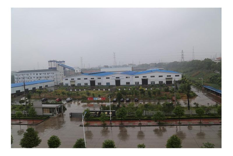 Plywood Box Wanxin/Customized Forged P2-80-290 Conveyor Chain with ISO Approved