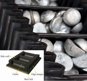 Fender Belt Conveyer for Mining Coal Cement Port Power Casting Metallurgy