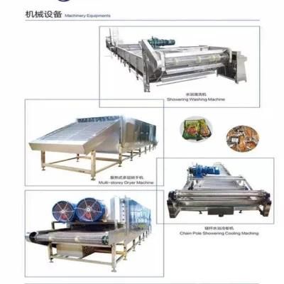 Manufacturer High Efficiency Washing and Drying Conveyor Belt System