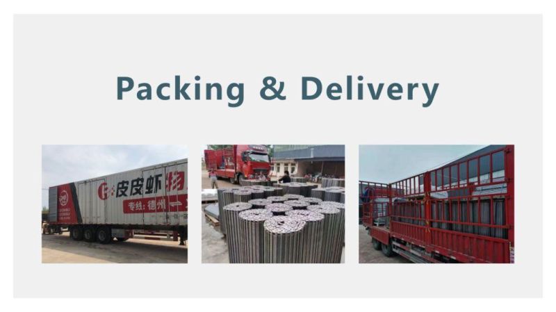 China Food Grade Plastic Curved Modular Conveyor Chain Modular Conveyor Belt