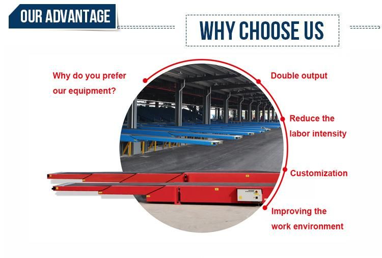 Belt Conveyor System