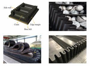 Sidewall Conveyor Belt for Mining Coal Cement Port Power Casting Metallurgy